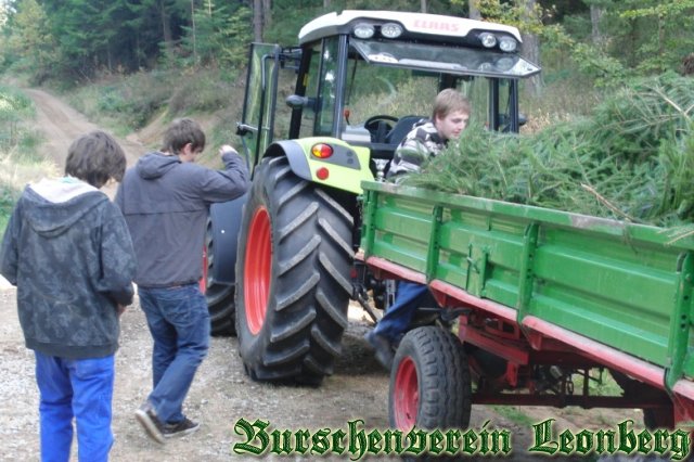 Grassertholen-2010