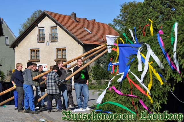 Baumaufstellen-2011