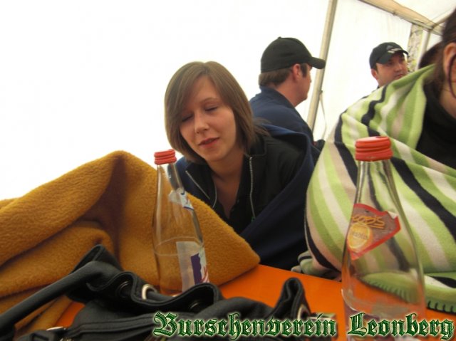 Vatertagsfest-2010